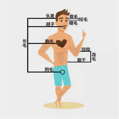 手臂突然長一根很長的毛|身上有一根毛特別長，是長壽象徵，還是癌變前兆？